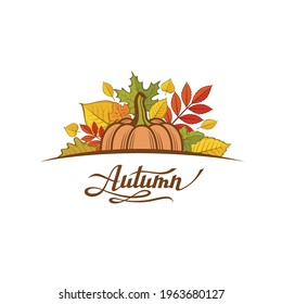 illustration of vegetable pumpkins with green leaves isolated on white background