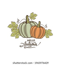 illustration of vegetable pumpkins with green leaves isolated on white background