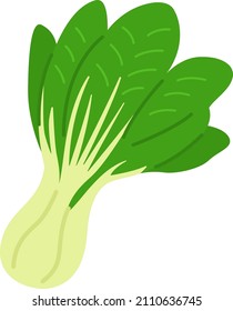 Illustration of vegetables bok choy ingredients.