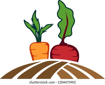 Illustration of vegetables in the garden