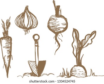 Illustration of vegetables in the gardening process