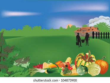 illustration with vegetables on country landscape background