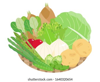 Illustration of vegetables that can be harvested in spring in Japan.