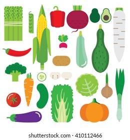 Illustration with vegetables. There cabbage, pumpkin, cucumber, tomato, peppers, zucchini, mushrooms.