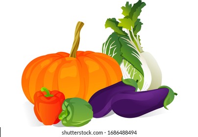 Illustration of vegetables, with white background vector