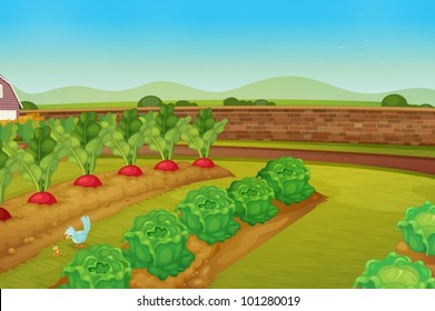 illustration of a vegie patch