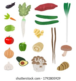 Illustration Of Vegitables - Simple Version