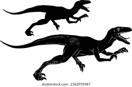 illustration of a Velociraptor . black and white drawing, white background