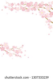 Illustration of the vernal scenery with the cherry blossoms - background is white - for horizontal writing of portrait format