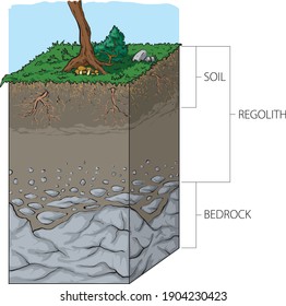 Illustration of vertical cross section from surface to bedrock, showing the relationship between soil and regolith.