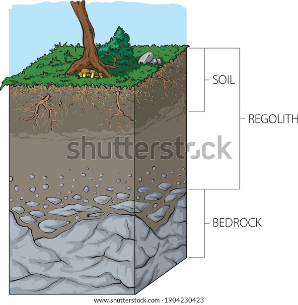 Top 90+ Images a cross section of soil from surface to bedrock Superb