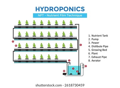 Illustration of vertical hydroponic system. Nutrient film technique. NFT. Diagram of a multi-level hydroponic setup.