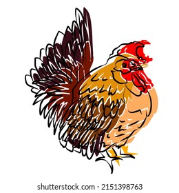 Illustration : Very beautiful chicken photo
