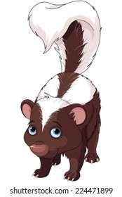 Illustration of very cute skunk