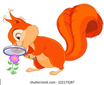 Illustration of very cute squirrel are researching flower