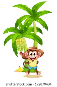 Illustration of a very happy monkey near the banana plant on a white background