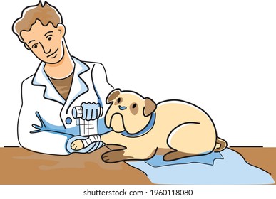 Illustration of a veterinarian bandaging a bulldog's paw 