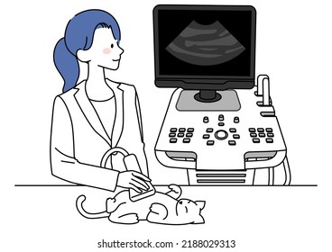 Illustration of a veterinarian performing an ultrasound on a cat