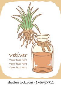 Ilustración de botella de vetiver y aromaterapia. Ilustración vectorial.
