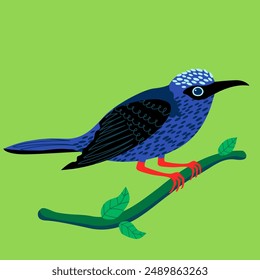 Illustration of a vibrant blue bird with black wing patterns, perched on a leafy branch against a green background. Hand-drawn vector illustration