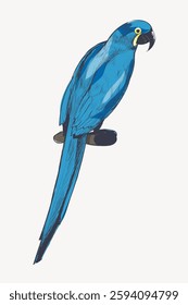 Illustration of a vibrant blue parrot perched on a branch. The blue parrot features detailed feathers and a long tail. Blue parrot stands out on a white background. Vintage animal illustration vector.