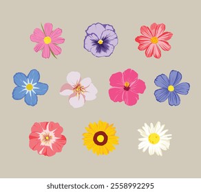 An illustration of vibrant flower petals in grey background