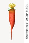 Illustration of a vibrant orange carrot with green leaves. The carrot is detailed, showing its natural texture. The carrot stands out against a plain background. Vintage food illustration vector.
