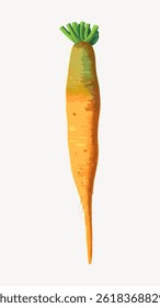 Illustration of a vibrant orange carrot with green leaves. The carrot is centered on a white background. Fresh carrot with detailed texture and vivid colors. Vintage food illustration vector.