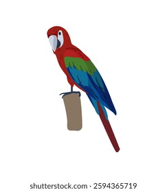 Illustration of a vibrant parrot with red, green, and blue feathers perched on a wooden stick.