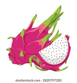 Illustration of a vibrant pink dragon fruit, partially sliced to reveal its white flesh speckled with tiny black seeds, set against a clean white background