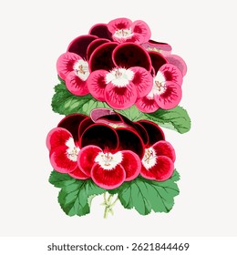 Illustration of vibrant pink and red flowers with green leaves. Floral design features bold colors, showcasing pink petals and lush green foliage. Vintage flower illustration vector.