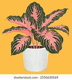 Illustration of a vibrant potted houseplant with pink and green leaves in a striped planter against a yellow background, modern botanical art
