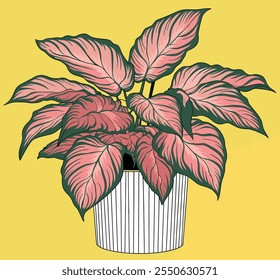 Illustration of a vibrant potted houseplant with pink and green leaves in a striped planter against a yellow background, modern botanical art
