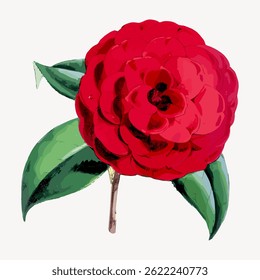Illustration of a vibrant red camellia flower with lush green leaves. The red camellia stands out with its detailed petals. Camellia flower and leaves in focus. Vintage flower illustration vector.