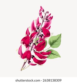 Illustration of vibrant red flowers with green leaves. Red petals and green leaves create a striking contrast. Botanical art with red flowers and green leaves. Vintage flower illustration vector.