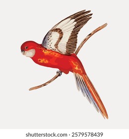 Illustration of a vibrant red parrot with detailed wings, perched on a branch. The parrot's vivid colors and elegant wings create a striking visual. Vintage bird illustration vector.