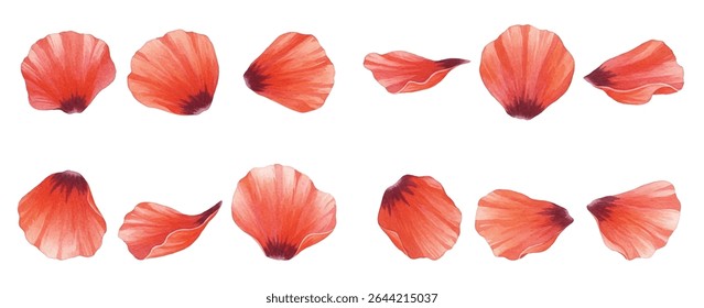 illustration of vibrant red poppies with lush green foliage, ideal for nature-themed designs and home decor. High-quality, detailed botanical art perfect for greeting cards.