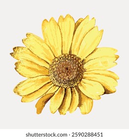 Illustration of a vibrant yellow daisy with detailed petals and a textured center. The yellow daisy stands out with its bright, cheerful appearance. Vintage botanical illustration vector.