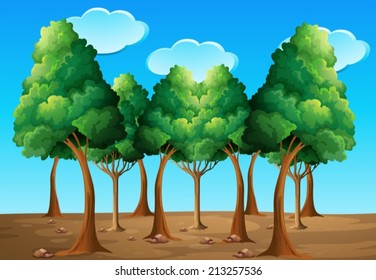 Illustration of a view of forest