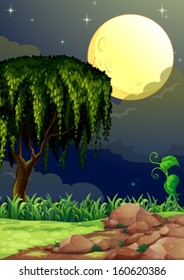 Illustration of a view of the forest in the middle of the night