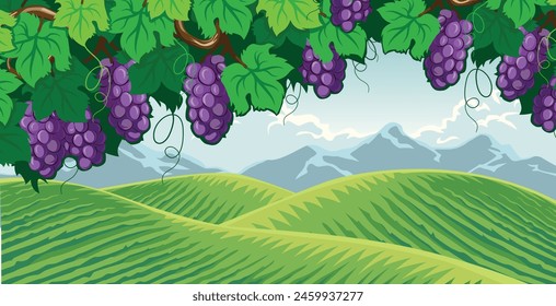 illustration of a view of a vineyard in the hills