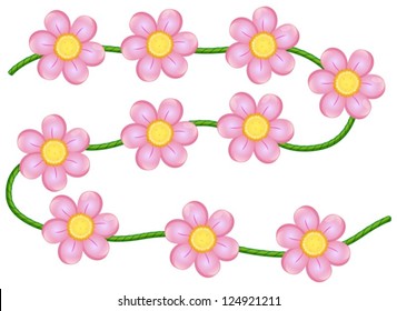 Illustration of vine flowers on a white background