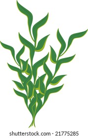 Illustration of a vine plant