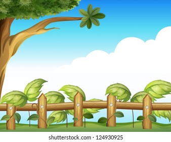 Illustration of a vine plant in a fence under the big tree