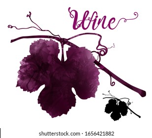 illustration of vine with tendrils. Artistic illustration with red wine stains. Poster, cover, advertisement, flyer, presentation, invitation for wine events. Silhouette. Vector drawing