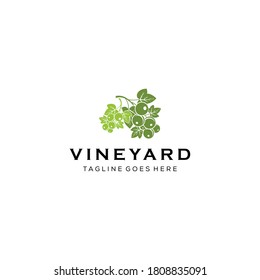 Illustration vine yard grape wine drink nature logo sign silhouette vector logo template