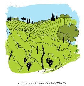 Ilustração de uma paisagem vinícola com colinas rolantes, videiras e ciprestes sob um céu azul brilhante.  Ideal para designs com temas de vinho, folhetos de viagem ou promoções agrícolas.