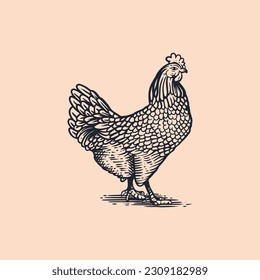 ILLUSTRATION VINTAGE CHICKEN SUITABLE FOR RELATED BUSINESS