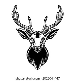 Illustration of vintage deer vector for logo