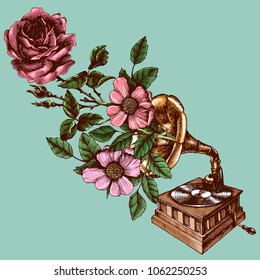 Illustration of a vintage gramophone with roses. Hand drawn vector retro phonograph for your nostalgic and symbolic design style.